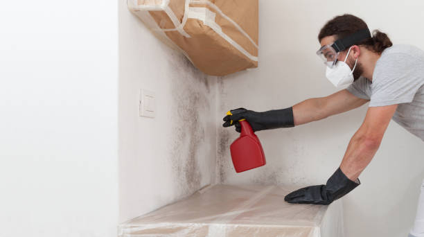 Professional Attic Mold Remediation technician working in West Sayville, NY
