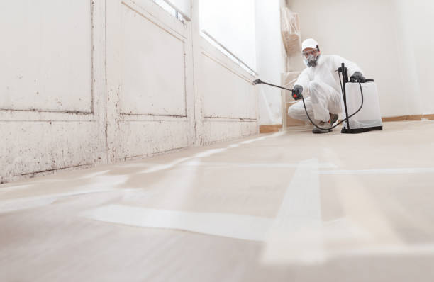 24/7 Emergency Attic Mold Remediation experts in West Sayville, NY